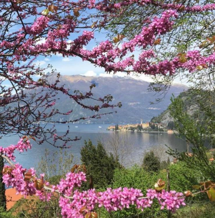 La punta di Varenna - CIR 097084-CNI-00104 Esterno foto
